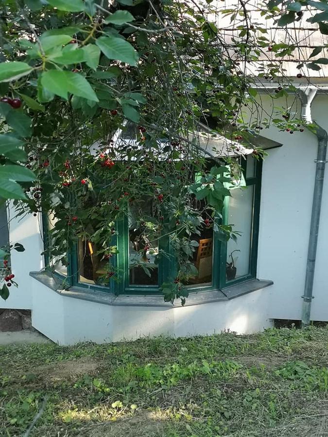 Villa Nyugalomsziget Kotcse Esterno foto