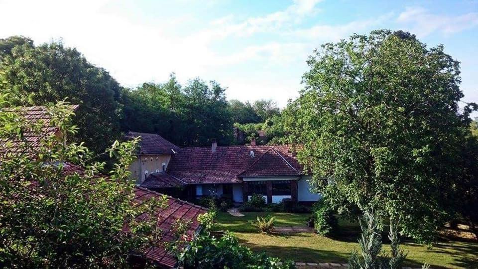 Villa Nyugalomsziget Kotcse Esterno foto