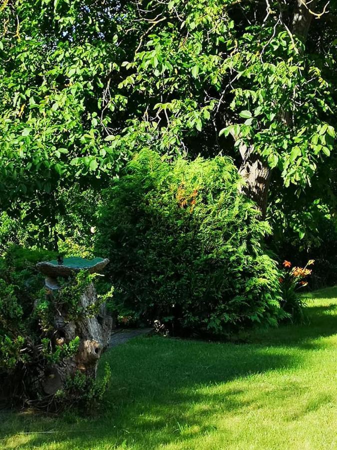 Villa Nyugalomsziget Kotcse Esterno foto