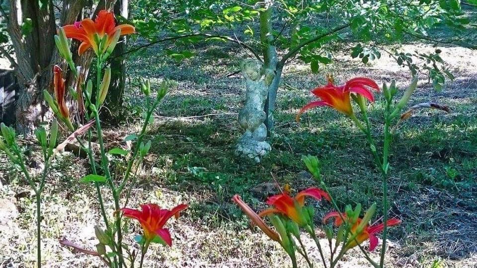 Villa Nyugalomsziget Kotcse Esterno foto
