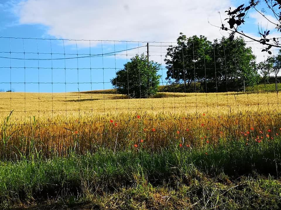 Villa Nyugalomsziget Kotcse Esterno foto