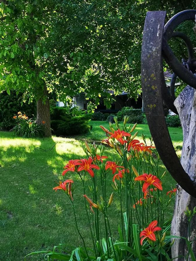 Villa Nyugalomsziget Kotcse Esterno foto