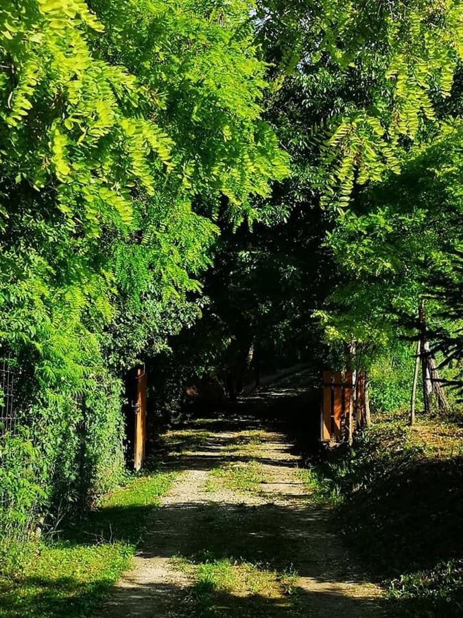 Villa Nyugalomsziget Kotcse Esterno foto